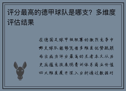 评分最高的德甲球队是哪支？多维度评估结果